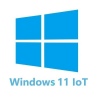Windows 11 IoT Enterprise 2024 LTSC Value Runtime licence