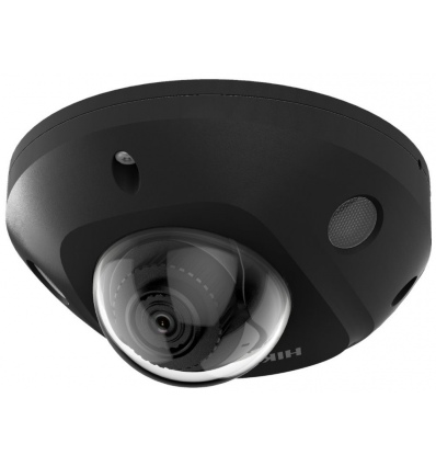 Hikvision DS-2CD2543G2-IS(2.8mm)(BLACK) - 4MPix IP Mini Dome kamera IR 30m, IP67, Audio, Alarm, černá