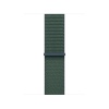 Watch Acc/42/Lake Green Sport Loop