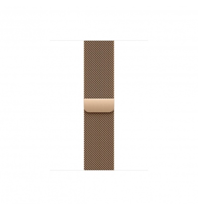 Watch Acc/40/Gold Milan.Loop