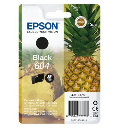 EPSON Singlepack Black 604 Ink