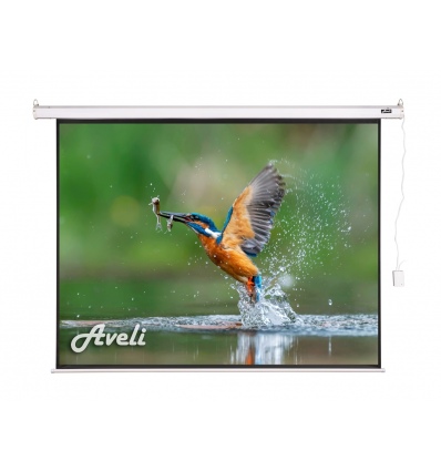 Elektrické projekční plátno AVELI, 813x610 (4:3)