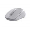 Myš C-TECH WLM-12, BT5.0 + 2,4GHz, šedá