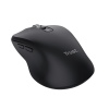 TRUST FERRO HYPERWHEEL WRLS MOUSE BLACK
