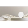 Xiaomi Mi Smart LED Ceiling Light D20