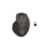 HP Ultra-Fast Scroll Wireless Mouse 785M EURO