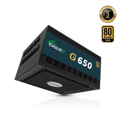 EVOLVEO G650,zdroj650W,ATX3.1,14cm,aPFC,80+GOLD,3YRW