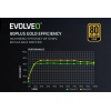 EVOLVEO G650,zdroj650W,ATX3.1,14cm,aPFC,80+GOLD,3YRW