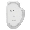 Incase Bluetooth Ergonomic Mouse, Glacier