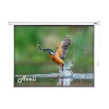 Elektrické projekční plátno AVELI, 488x366 (4:3) 240"