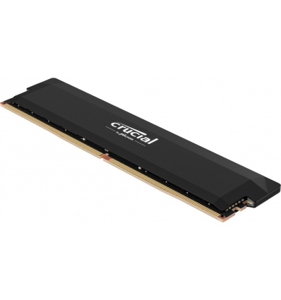 Crucial Pro OC/DDR5/16GB/6400MHz/CL38/1x16GB/Black