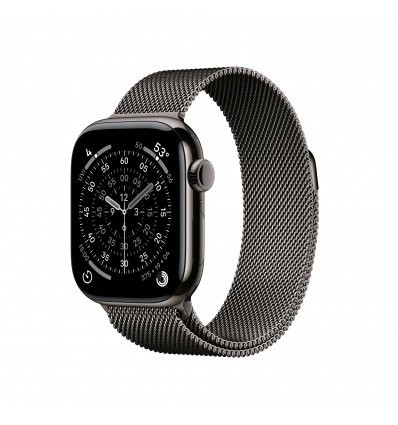 Apple Watch S11 Cell/42/Elegant Band/Slate