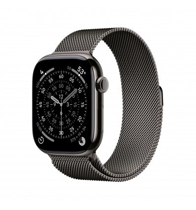 Apple Watch S11 Cell/46/Elegant Band/Slate