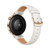 Huawei Watch GT 5/41mm/Gold/Elegant Band/White