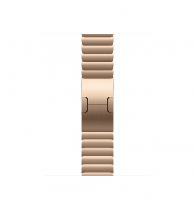 Watch Acc/42/Gold Link Bracelet
