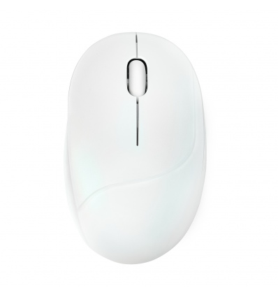 ASUS Fragrance Mouse MD101/Ergonomická/Optická/2 400 DPI/USB+BT/Bílá