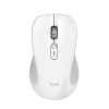 TRUST FERRO HYPERWHEEL WRLS MOUSE WHITE