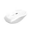 TRUST FERRO HYPERWHEEL WRLS MOUSE WHITE