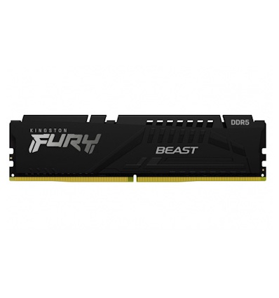Kingston FURY Beast/DDR5/16GB/5600MHz/CL40/1x16GB/Black