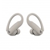 Beats Powerbeats Pro 2/ANC/BT/Quick Sand