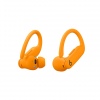 Beats Powerbeats Pro 2/ANC/BT/Electric Orange