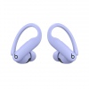 Beats Powerbeats Pro 2/ANC/BT/Hyper Purple