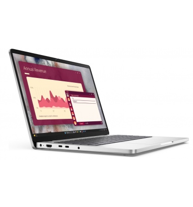 Dell Pro 14/PC14250/U7-255U/14"/WUXGA/16GB/512GB/Iris Xe/W11P/Platinum/3RNBD