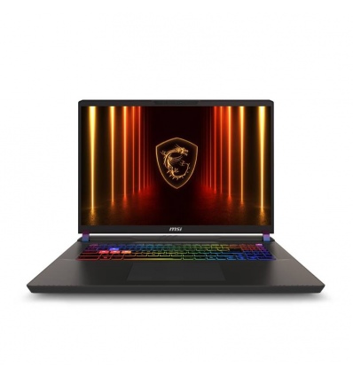 MSI Vector/17 HX AI A2XWHG-035CZ/U9-275HX/17"/2560x1600/32GB/2TB/RTX 5070Ti/W11H/Gray/2R