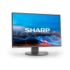 NEC Sharp MultiSync/EA241W/24"/IPS/FHD/60Hz/5ms/Černá/3R