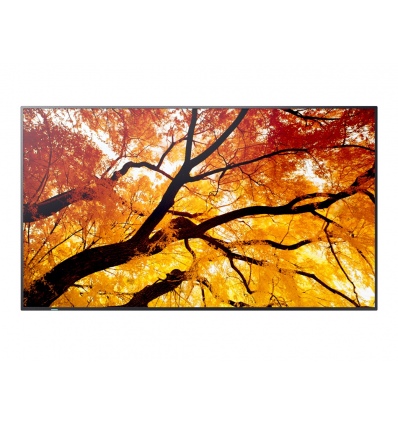75" LED SHARP M752,3840x2160,IPS,24/7,500cd