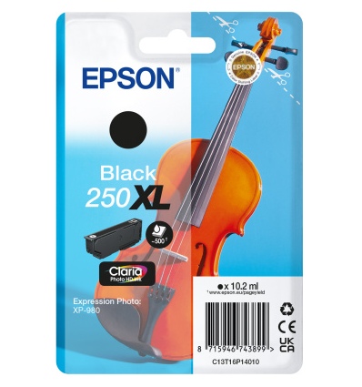 Epson Singlepack Black 250XL ink