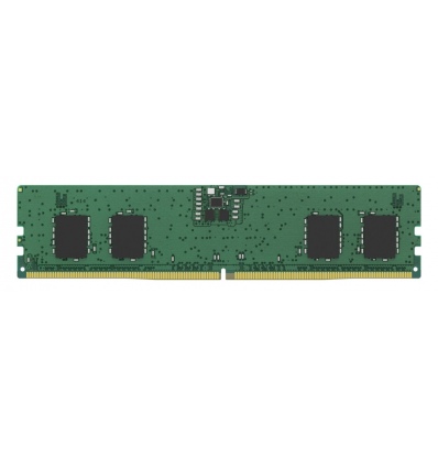 HP 8GB DDR5 (1x8GB) 5600 UDIMM NECC Memory