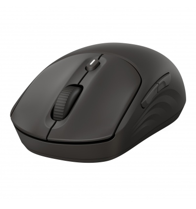 HP 405 Quiet Black Wireless Mouse EURO