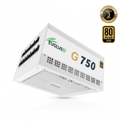 EVOLVEO G750, 750W/ ATX 3.1/ PCIe 5.1/ 80+ GOLD/