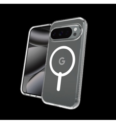 Cases Crystal Palace Snap Google Pixel 10/Pixel 10