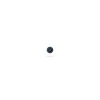 Ubiquiti UVC-AI-Theta, Camera AI Theta