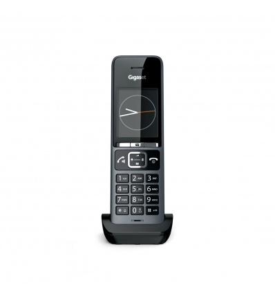 Gigaset C600H PRO k N530IP