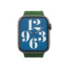 ZAGG řemínek Apple Watch 45/44/42mm SM zelená