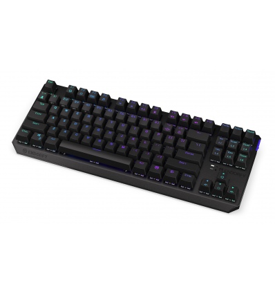 Endorfy Thock TKL Black/Drátové/Bezdrátové/US layout/Černá