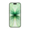 Apple iPhone 17/256GB/Sage