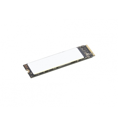 Lenovo ThinkPad/512GB/SSD/M.2 NVMe/Černá/1R