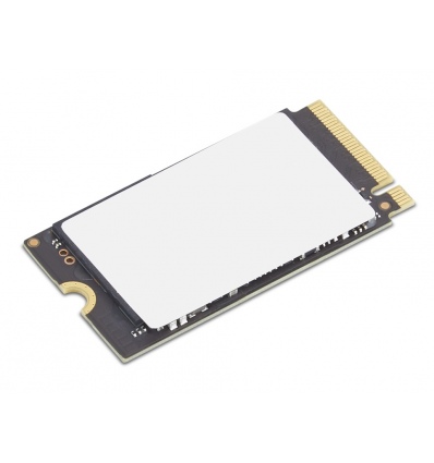 Lenovo ThinkPad/512GB/SSD/M.2 NVMe/Černá/1R
