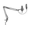 TRUST GXT252 EMITA PLUS MICROPHONE