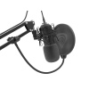 Streamovací mikrofon Genesis RADIUM 400 G2, USB