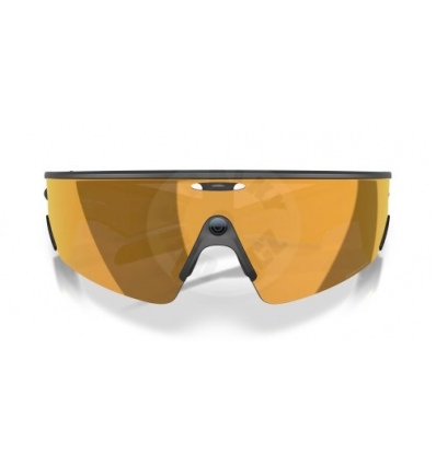 Meta Oakley Vanguard prizm 24k Lenses, black Frame