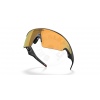 Meta Oakley Vanguard prizm 24k Lenses, black Frame