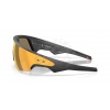 Meta Oakley Vanguard prizm 24k Lenses, black Frame