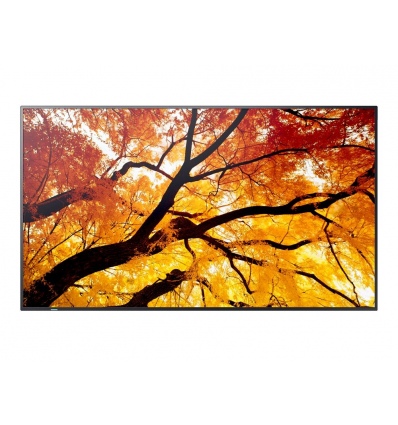 65" LED SHARP M652,3840x2160,IPS,24/7,550cd