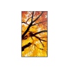32" LED NEC M322,1920x1080,IPS,24/7,450cd