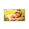 43" LG LED 43UL5 - UHD,500cd, WebOS,24/7